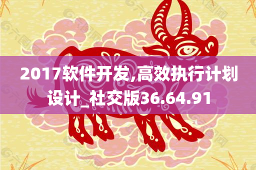 2017软件开发,高效执行计划设计_社交版36.64.91