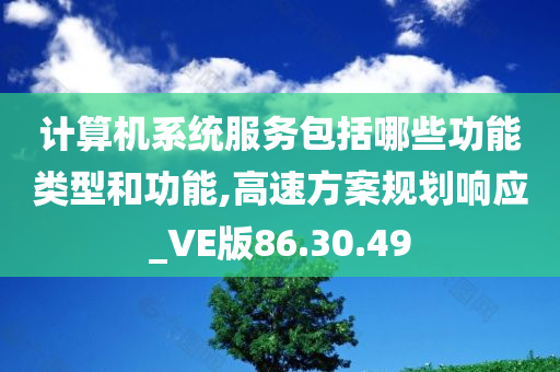 计算机系统服务包括哪些功能类型和功能,高速方案规划响应_VE版86.30.49