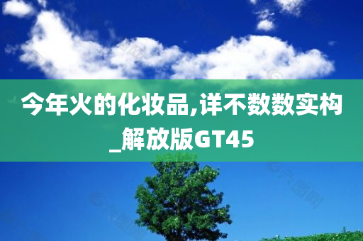 今年火的化妆品,详不数数实构_解放版GT45