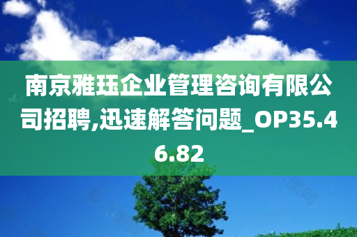 南京雅珏企业管理咨询有限公司招聘,迅速解答问题_OP35.46.82