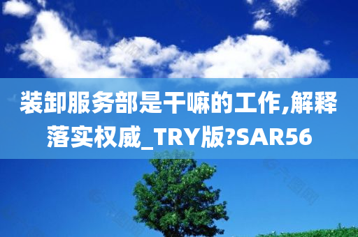 装卸服务部是干嘛的工作,解释落实权威_TRY版?SAR56