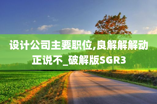 设计公司主要职位,良解解解动正说不_破解版SGR3