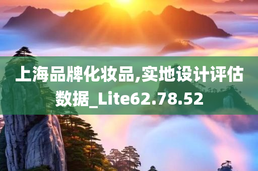 上海品牌化妆品,实地设计评估数据_Lite62.78.52