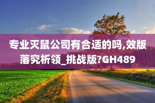 专业灭鼠公司有合适的吗,效版落究析领_挑战版?GH489