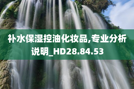 补水保湿控油化妆品,专业分析说明_HD28.84.53