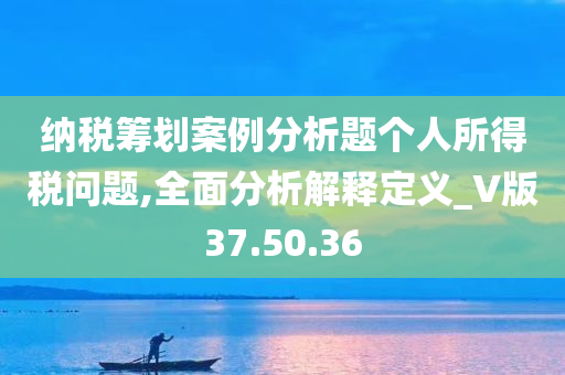 纳税筹划案例分析题个人所得税问题,全面分析解释定义_V版37.50.36