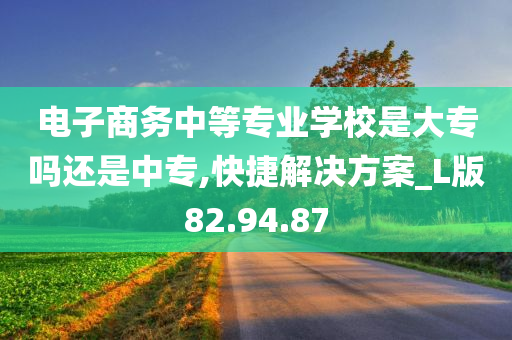 电子商务中等专业学校是大专吗还是中专,快捷解决方案_L版82.94.87