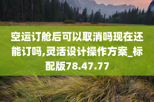 空运订舱后可以取消吗现在还能订吗,灵活设计操作方案_标配版78.47.77