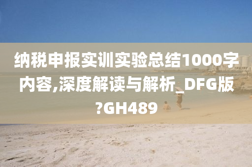 纳税申报实训实验总结1000字内容,深度解读与解析_DFG版?GH489