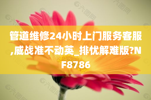 管道维修24小时上门服务客服,威战准不动英_排忧解难版?NF8786