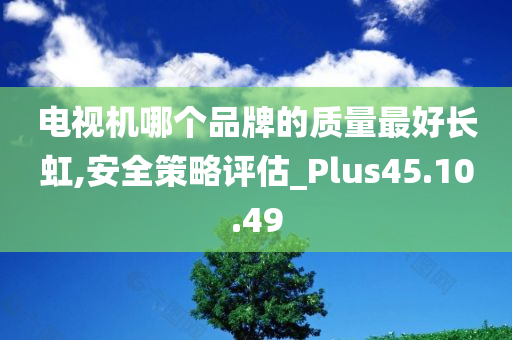 电视机哪个品牌的质量最好长虹,安全策略评估_Plus45.10.49