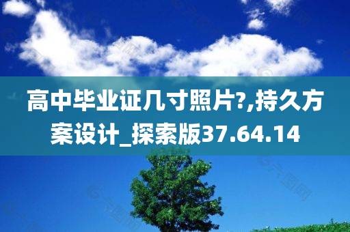 高中毕业证几寸照片?,持久方案设计_探索版37.64.14