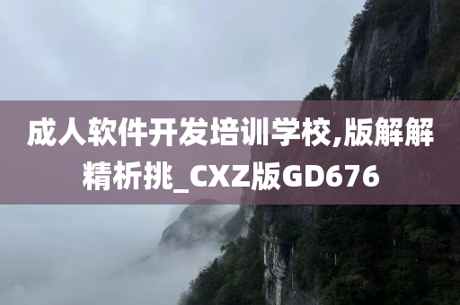 成人软件开发培训学校,版解解精析挑_CXZ版GD676