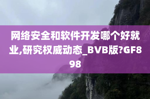 网络安全和软件开发哪个好就业,研究权威动态_BVB版?GF898