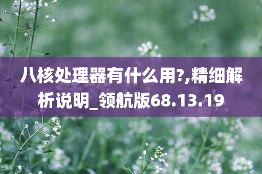 八核处理器有什么用?,精细解析说明_领航版68.13.19