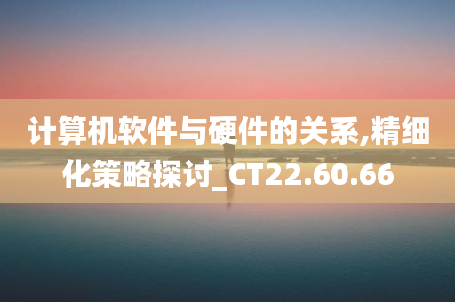 计算机软件与硬件的关系,精细化策略探讨_CT22.60.66