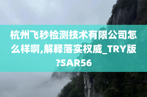 杭州飞秒检测技术有限公司怎么样啊,解释落实权威_TRY版?SAR56