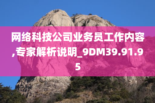 网络科技公司业务员工作内容,专家解析说明_9DM39.91.95