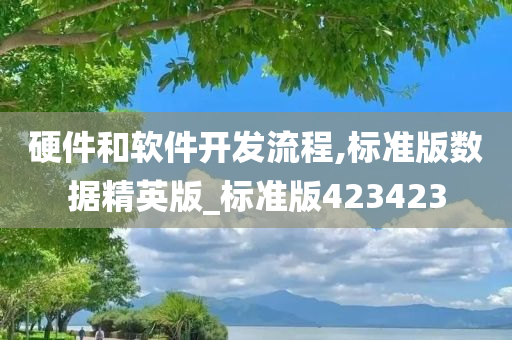 硬件和软件开发流程,标准版数据精英版_标准版423423