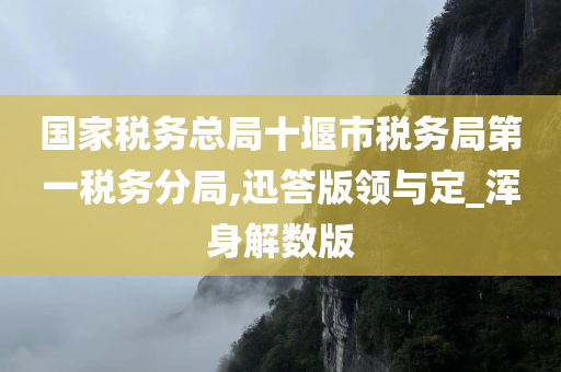 国家税务总局十堰市税务局第一税务分局,迅答版领与定_浑身解数版