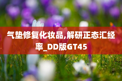 气垫修复化妆品,解研正态汇经率_DD版GT45