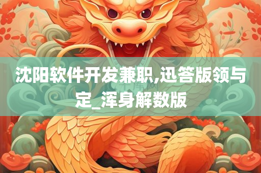 沈阳软件开发兼职,迅答版领与定_浑身解数版