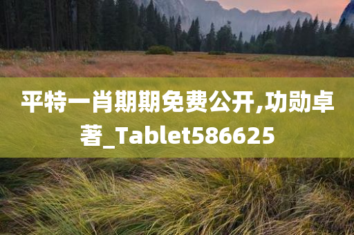 平特一肖期期免费公开,功勋卓著_Tablet586625