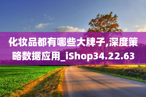 化妆品都有哪些大牌子,深度策略数据应用_iShop34.22.63