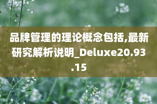 品牌管理的理论概念包括,最新研究解析说明_Deluxe20.93.15