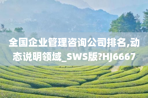 全国企业管理咨询公司排名,动态说明领域_SWS版?HJ6667