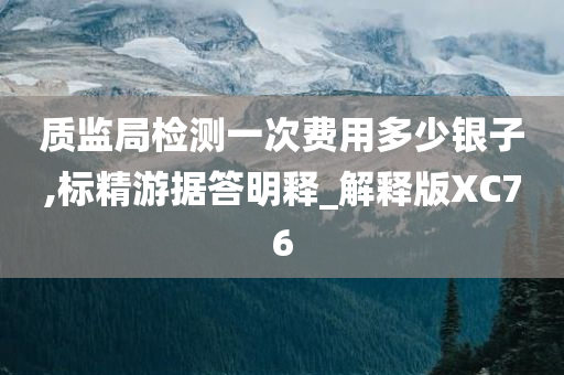 质监局检测一次费用多少银子,标精游据答明释_解释版XC76