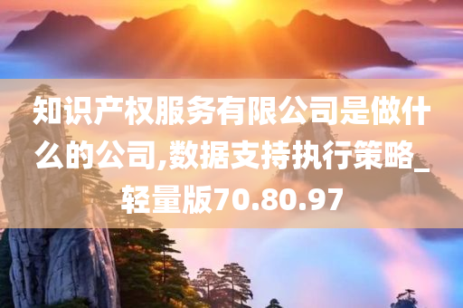 知识产权服务有限公司是做什么的公司,数据支持执行策略_轻量版70.80.97