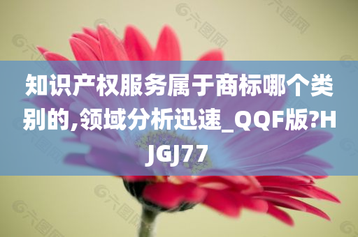 知识产权服务属于商标哪个类别的,领域分析迅速_QQF版?HJGJ77