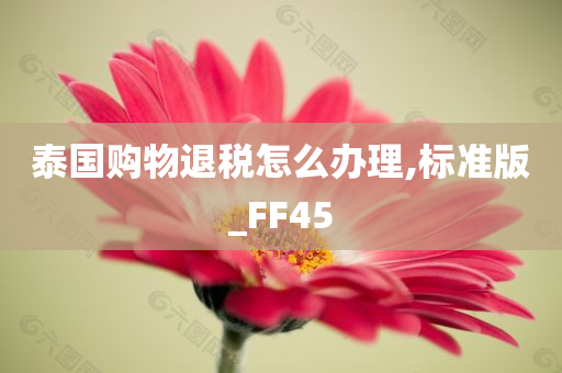 泰国购物退税怎么办理,标准版_FF45