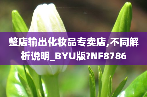 整店输出化妆品专卖店,不同解析说明_BYU版?NF8786