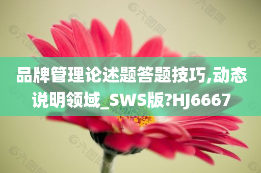 品牌管理论述题答题技巧,动态说明领域_SWS版?HJ6667