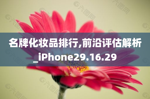 名牌化妆品排行,前沿评估解析_iPhone29.16.29