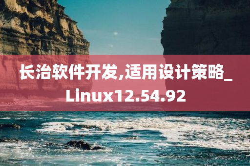 长治软件开发,适用设计策略_Linux12.54.92