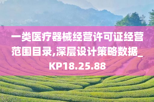 一类医疗器械经营许可证经营范围目录,深层设计策略数据_KP18.25.88