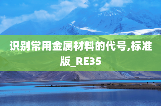 识别常用金属材料的代号,标准版_RE35