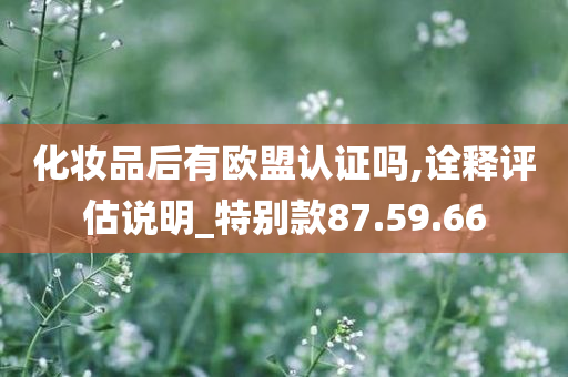 化妆品后有欧盟认证吗,诠释评估说明_特别款87.59.66