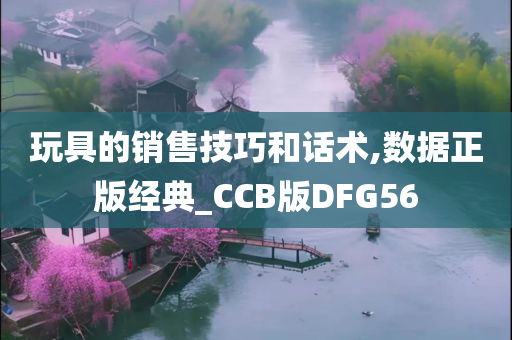 玩具的销售技巧和话术,数据正版经典_CCB版DFG56