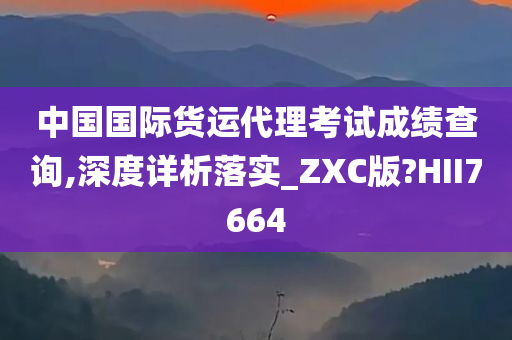 中国国际货运代理考试成绩查询,深度详析落实_ZXC版?HII7664