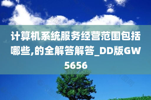 计算机系统服务经营范围包括哪些,的全解答解答_DD版GW5656