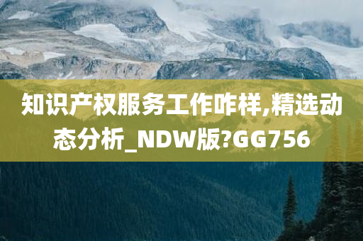 知识产权服务工作咋样,精选动态分析_NDW版?GG756