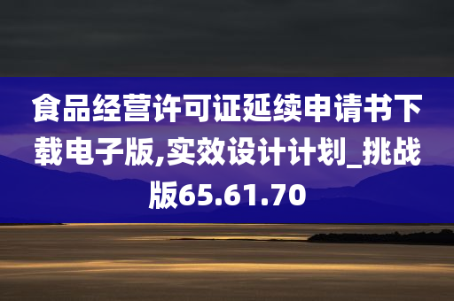 食品经营许可证延续申请书下载电子版,实效设计计划_挑战版65.61.70