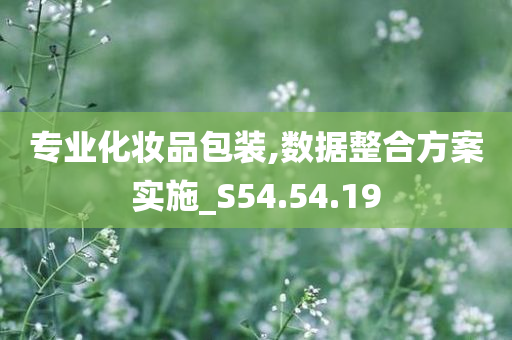 专业化妆品包装,数据整合方案实施_S54.54.19