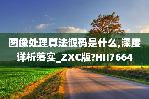 图像处理算法源码是什么,深度详析落实_ZXC版?HII7664