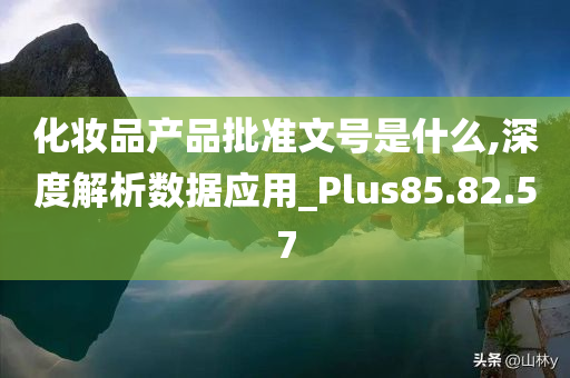 化妆品产品批准文号是什么,深度解析数据应用_Plus85.82.57