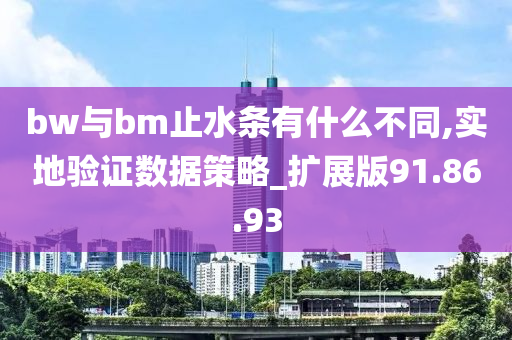 bw与bm止水条有什么不同,实地验证数据策略_扩展版91.86.93